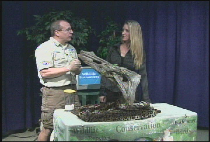 Thumbnail image for Wildlife Encounters -  2/2012