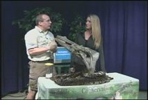 Thumbnail image for Wildlife Encounters -  2/2012