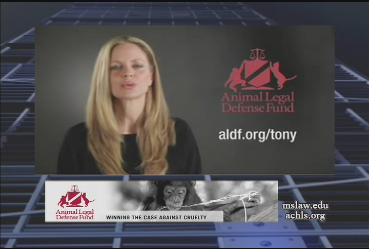 Thumbnail image for Educational Forum- ep170 -tigers