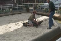 Thumbnail image for Animal House - Gatorland