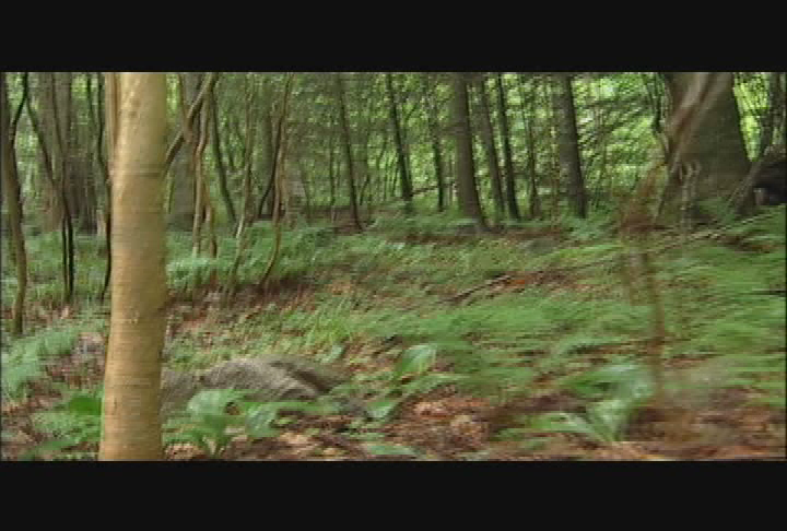 Thumbnail image for Hike Safe