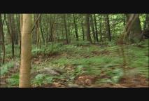 Thumbnail image for Hike Safe