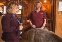 Thumbnail image for Lakes Region Spotlight - Wineries In New Hampshire