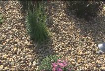 Thumbnail image for Garden & Home in Hudson Ep.2