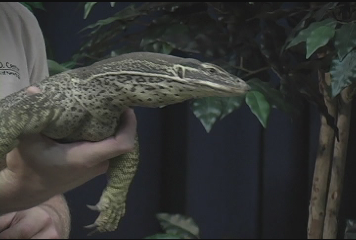 Thumbnail image for Wildlife Encounters- August 2012