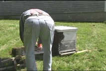 Thumbnail image for The Humble Farmer - 5 27 2012