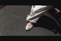 Thumbnail image for Expedition New Emgland - Northern Copperhead