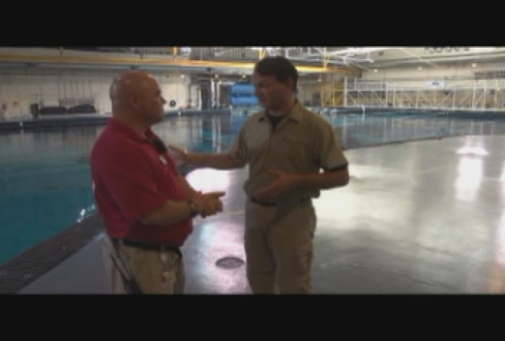 Thumbnail image for Animal House - Aquarium