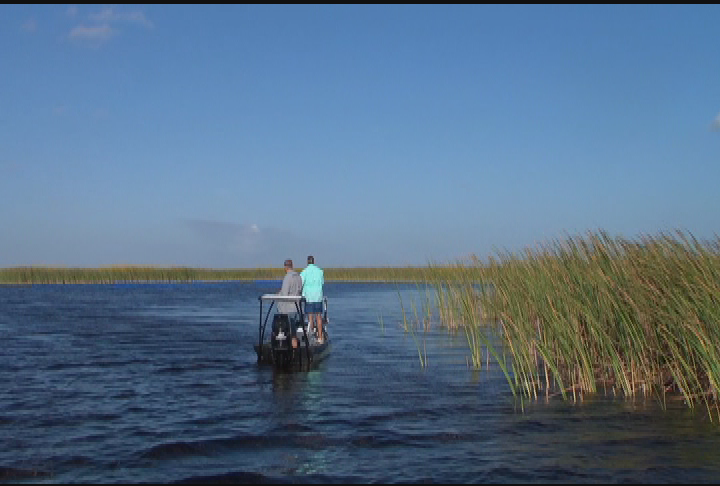 Thumbnail image for Go Fish with Dan Kenney- Okeechobee Snakehead