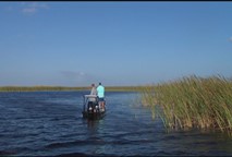 Thumbnail image for Go Fish with Dan Kenney- Okeechobee Snakehead