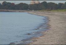 Thumbnail image for Expedition New England- Long Beach West