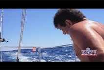 Thumbnail image for Yankee Girl TV -  Swimming with the Dolphins