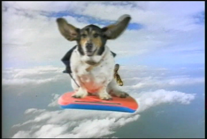 Thumbnail image for Sidewalks Entertainment - Bar Paly