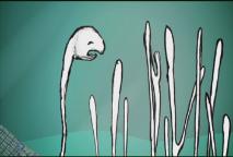 Thumbnail image for Saving Paradise - Cape Cod's Water at Risk