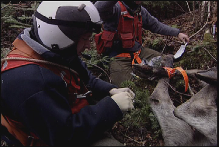 Thumbnail image for Granite State Outdoors ep 1043