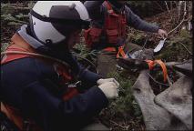 Thumbnail image for Granite State Outdoors ep 1043