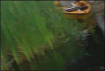 Thumbnail image for Granite State Outdoors ep 1021