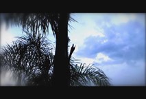 Thumbnail image for Nature Worship pt 2