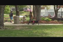 Thumbnail image for Ask Dog Lady