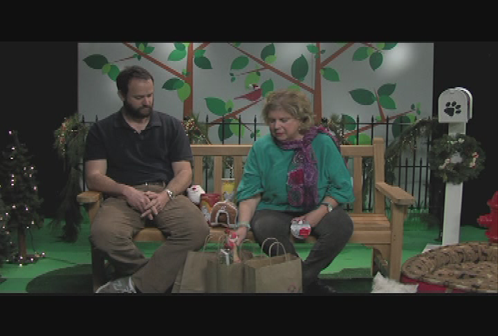 Thumbnail image for Ask Dog Lady Ep 5