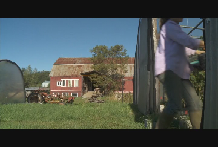 Thumbnail image for Organic Matters