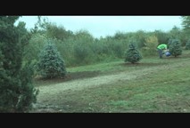 Thumbnail image for Benson Park Tree Day 2014