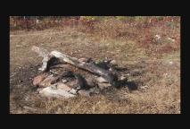 Thumbnail image for  Hudson Musquash Trail - Conservation issue