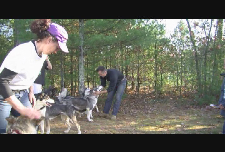 Thumbnail image for HGS Presents Snow Dogz