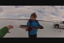 Thumbnail image for Expedition New England - Life on the Ice