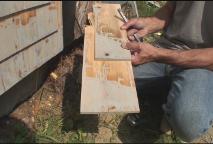 Thumbnail image for Hot and Cold - Shingling