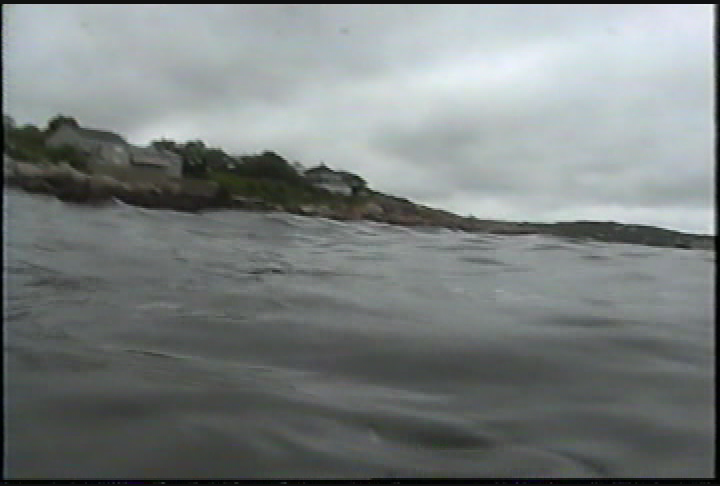 Nature Walks w/ Mark Frasier  Episode 2 'Under the Shore of N.E.'