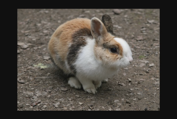 Thumbnail image for The Reading Lady - Move Me Move Me 1 2 3