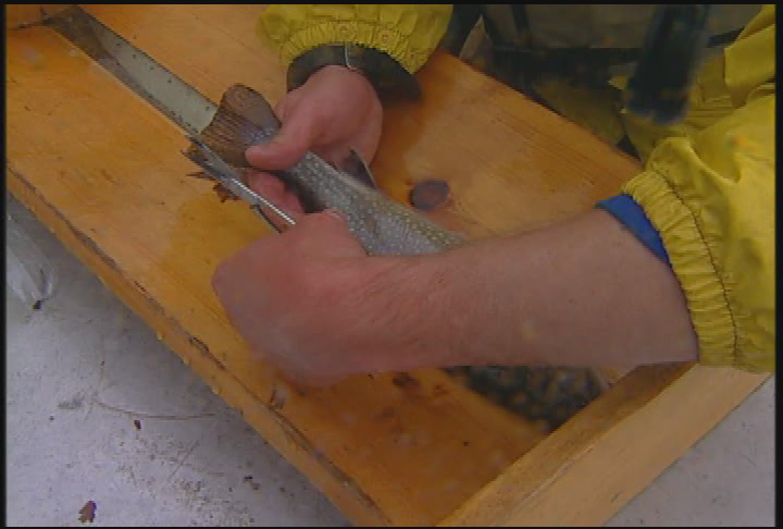 Granite State Outdoors - ep1015