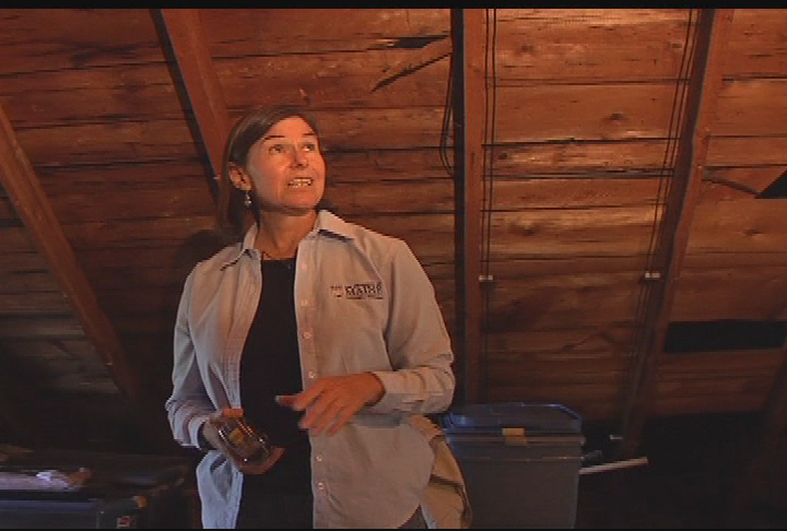 Do It Yourself Energy Saving