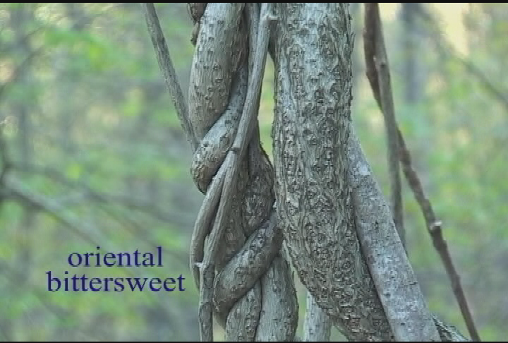 Expedition New England:Your Land