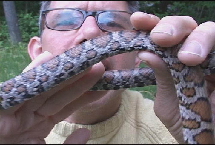 Expedition New England: 1 By Land and 2 By Sea