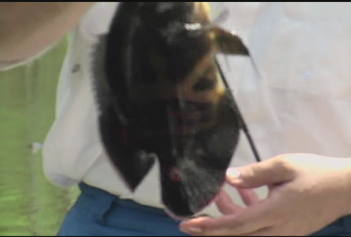 Go Fishing with Dan Kenney - Florida