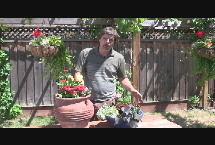 Gardening Rhythm - Colorwheel