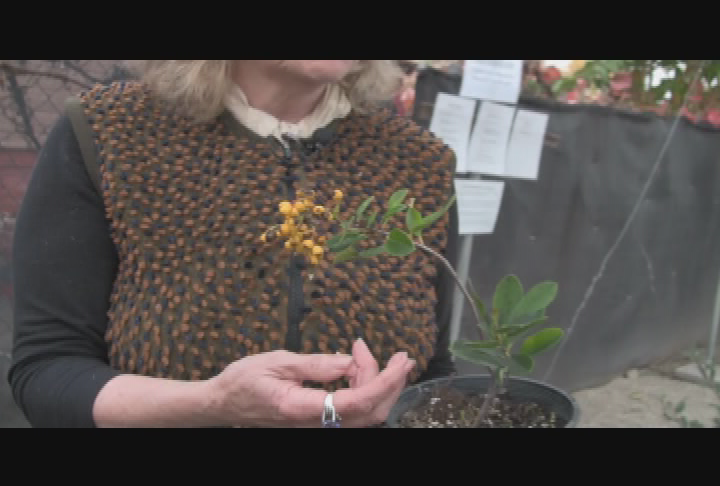 Gardening Rhythms - Middlebrook