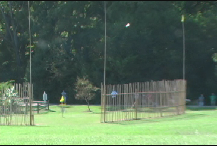 Disc Golf - Birdie Festival