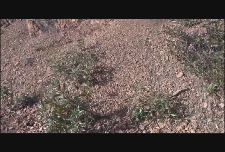 Thumbnail image for Garden Rhythms - Soil Testing