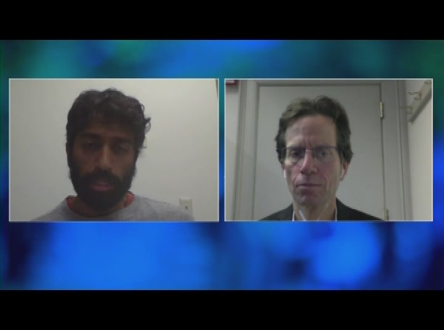 WideAngle_Ep2.6_VanishingBees