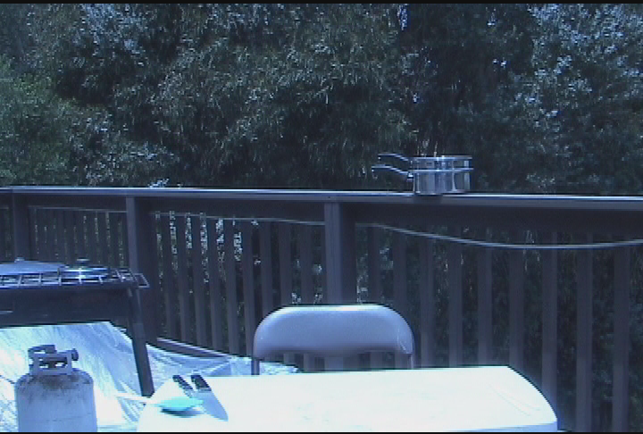 Grilldog - Takeout II