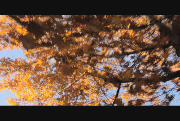 Thumbnail image for Explore - Salem Witch Hunt