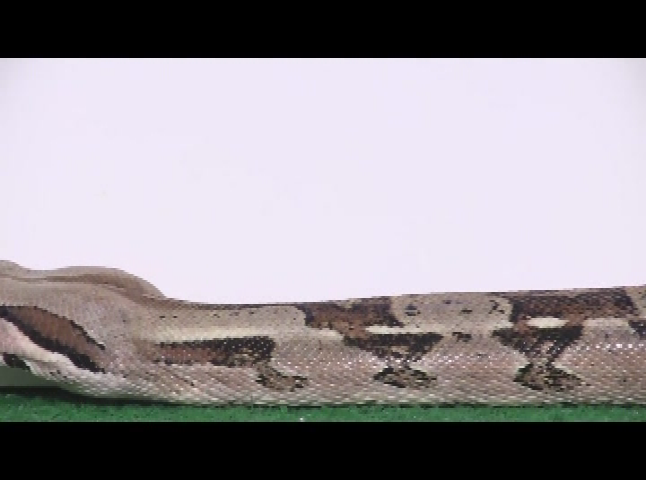 Thumbnail image for NSF Science Now - Episode 35