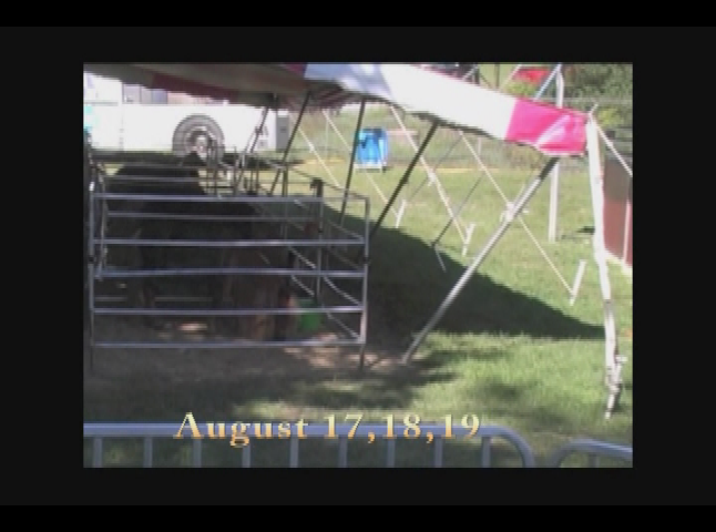 Thumbnail image for Cornish Fair 2018