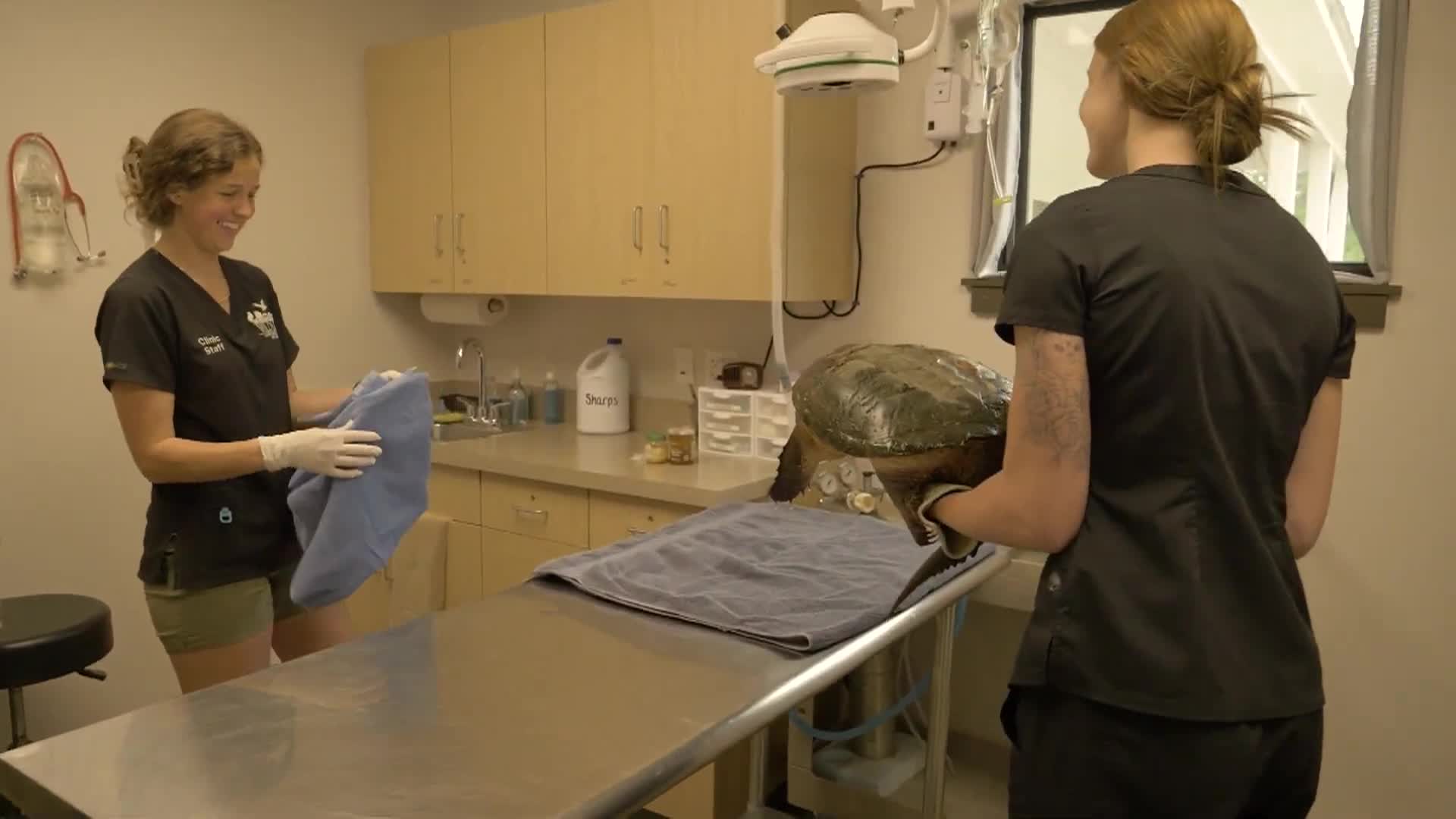 The Center for Wildlife - Behind the Scenes