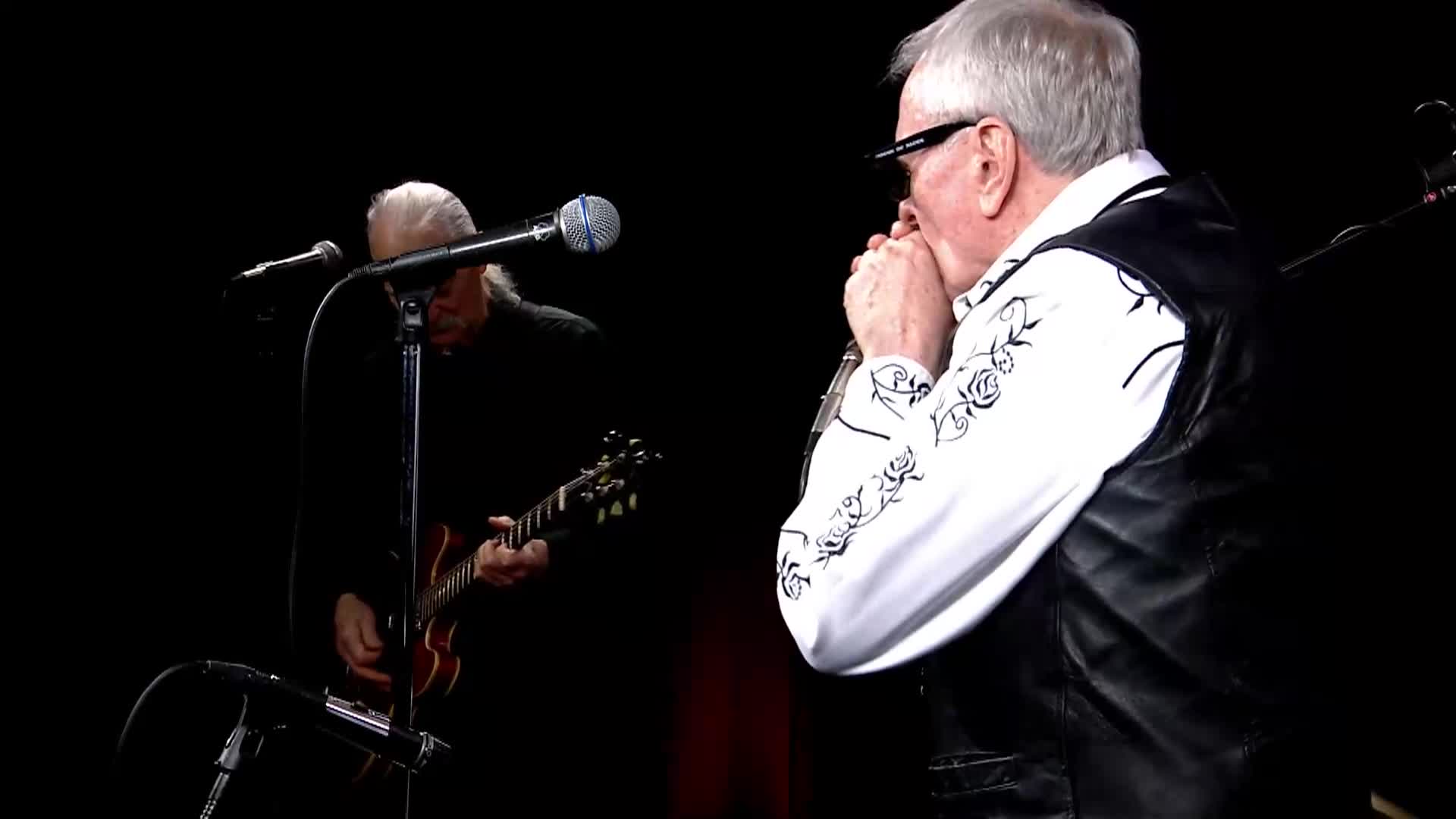 The Lights Out Blues Band - March 2024