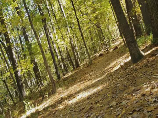 Thumbnail image for Peeled - Getting to the Core of The Appler