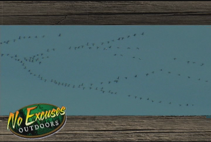 Thumbnail image for No Excuses Outdoors -Snow Goose Hunt and Empowered Deream Deer Hunt